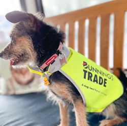 A family wearing junior tradie branded merchandise